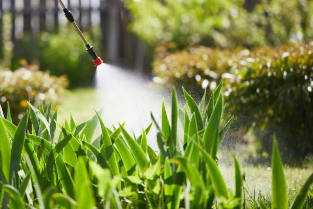 24/7 Emergency Wasp Removal experts in Milford, OH